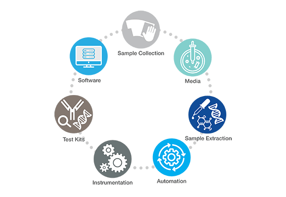 Hygiena Portfolio Graph