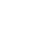 Real-Time PCR Detection