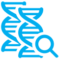 Real-Time PCR Detection