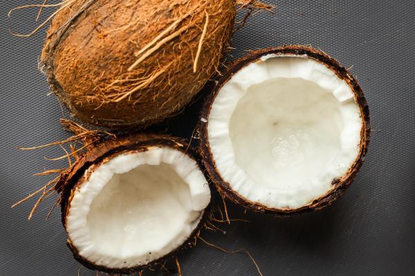 Allergen Coconut