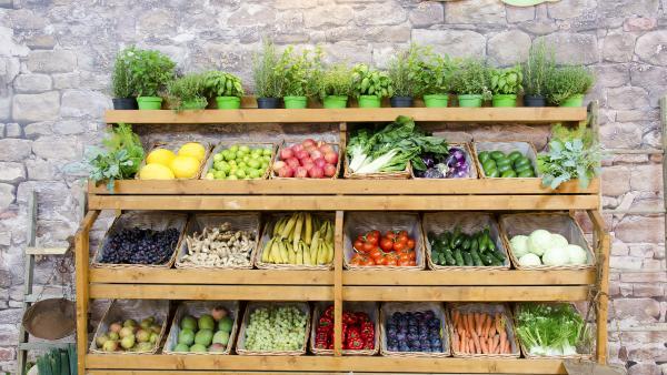 Vegetable Shelf