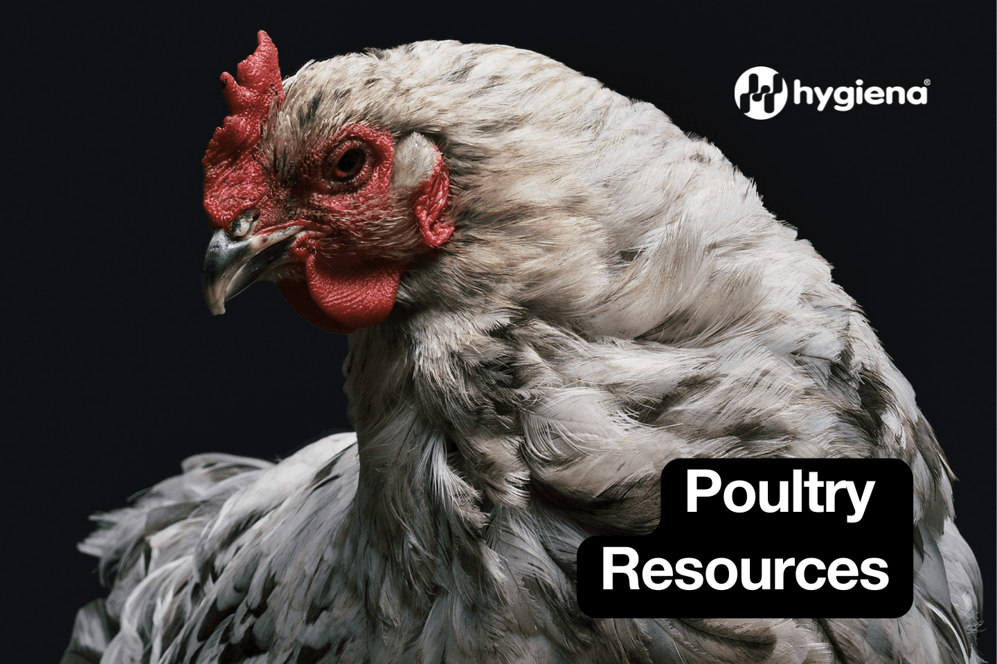 Poultry Resources