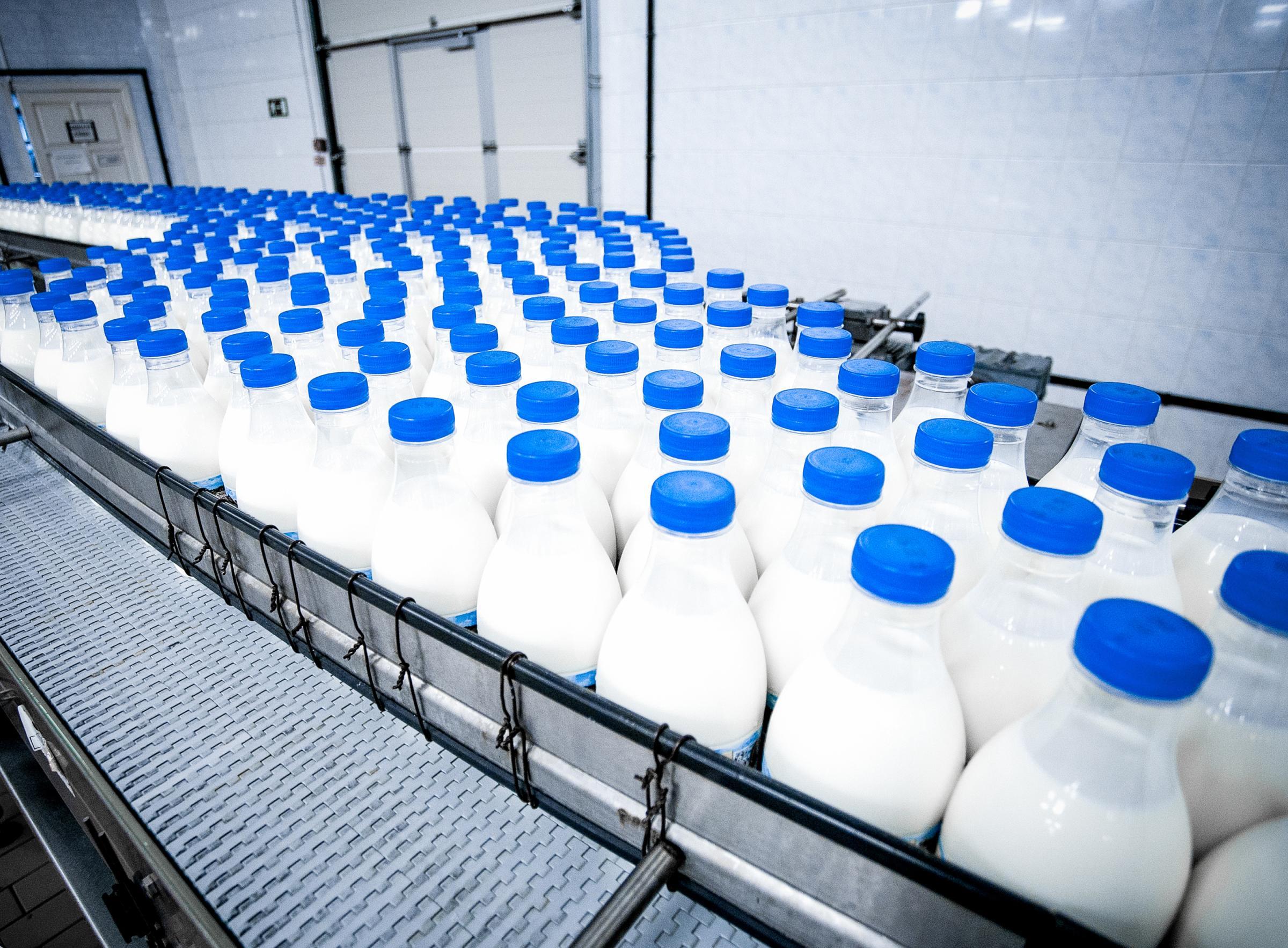 Milk in a factory